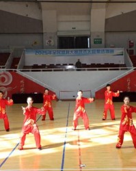 开云电子-全民健身大赛武术太极拳选拔赛吸引400余名爱好者参与