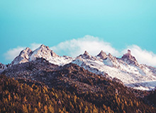 mg电子官方网站：开启指尖上的娱乐新纪元